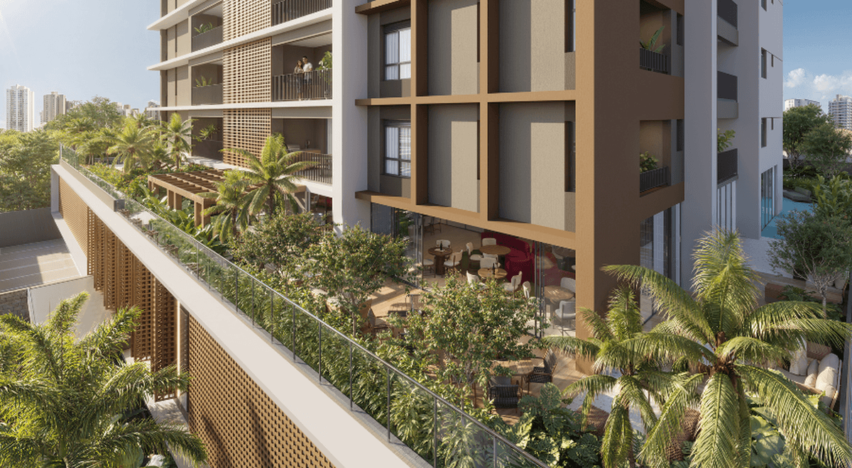 Voo de pássaro