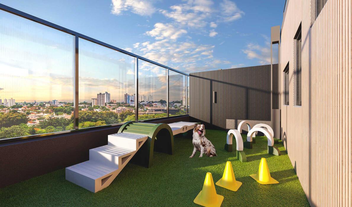 Pet place
